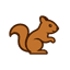 SquirrelSeller